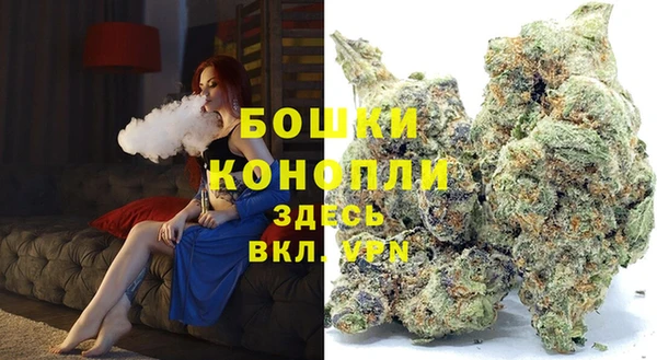 гидра Армянск