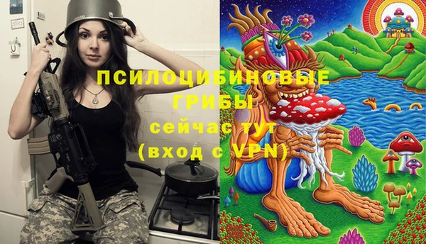 гидра Армянск