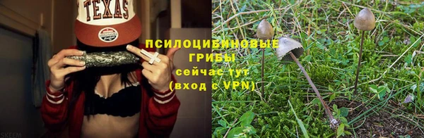 гидра Армянск